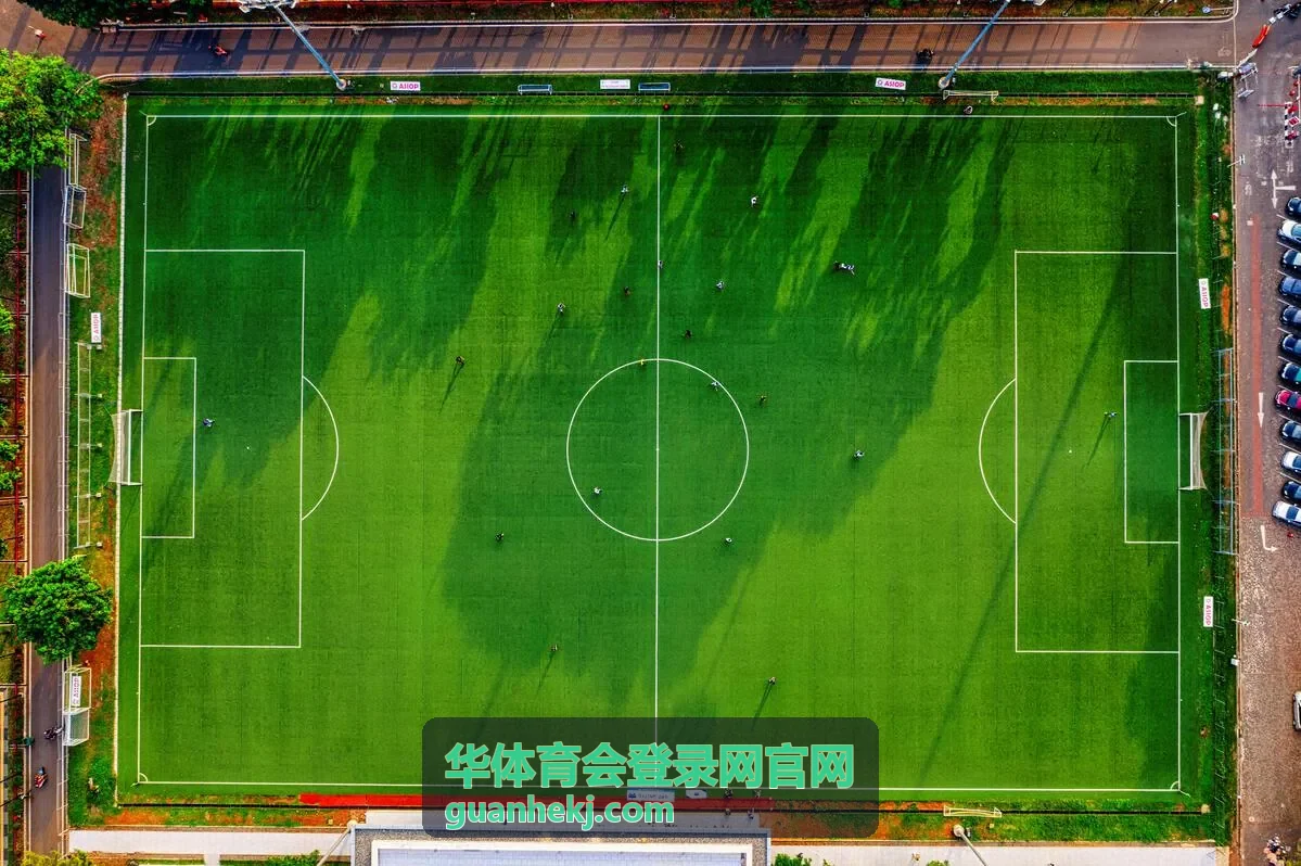 华体育会登录网官网手机浏览场景示意图